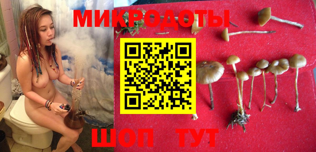 Псилоцибиновые грибы мухоморы Шахты